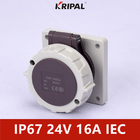 Bảng điều khiển điện áp thấp 48V 32A IP67 3P Gắn ổ cắm Tiêu chuẩn IEC